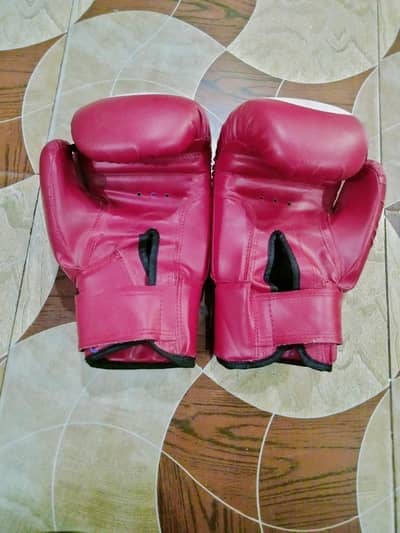 punching bag with gloves
