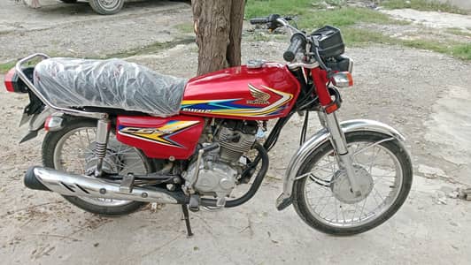 2019 HONDA lush condition