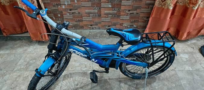 kid bicycle
