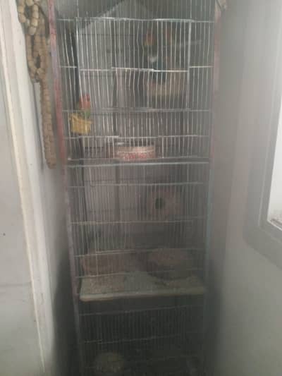 used cage