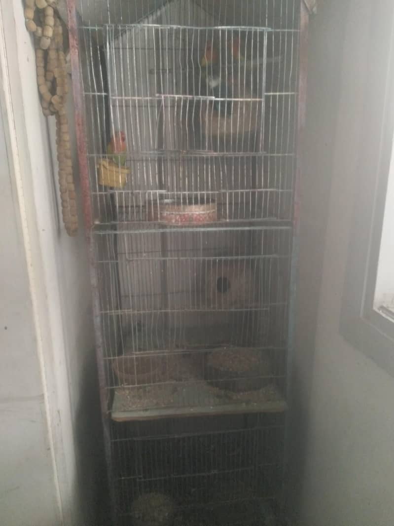 used cage 0