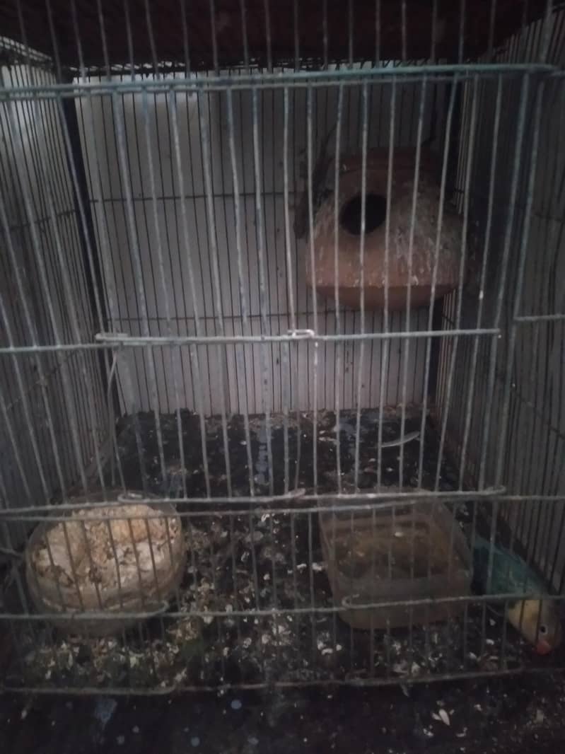 used cage 3