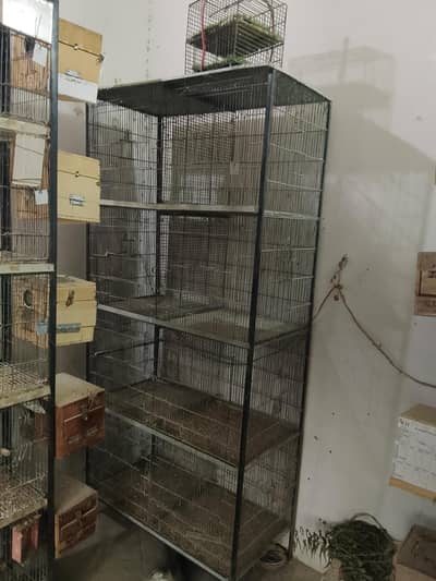 birds cages