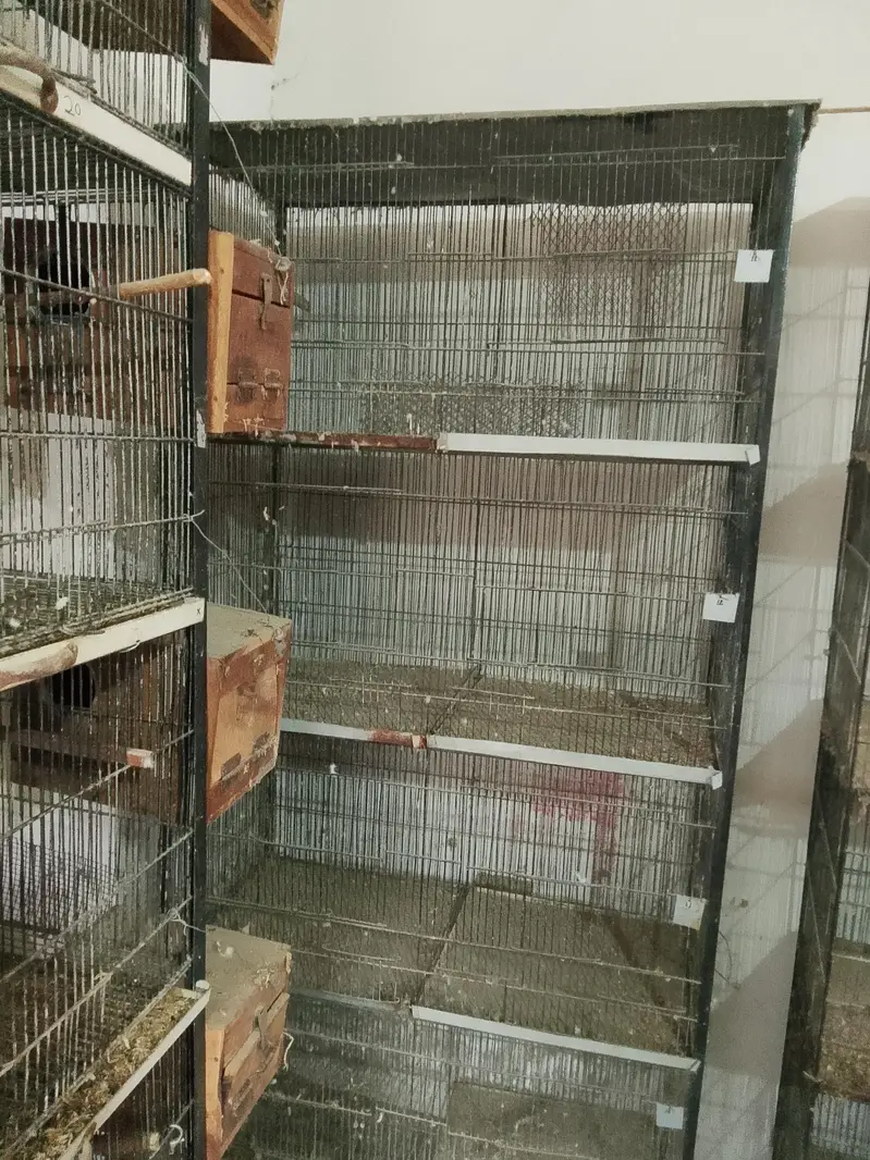 birds cages — photo 2