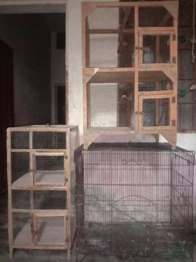 cages & raw box for sale Wtp 03241858868