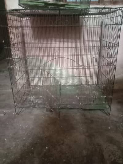 raw cage and small cage for sale Wtp 03241858868