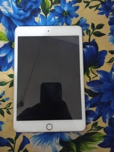 iPad mini 5