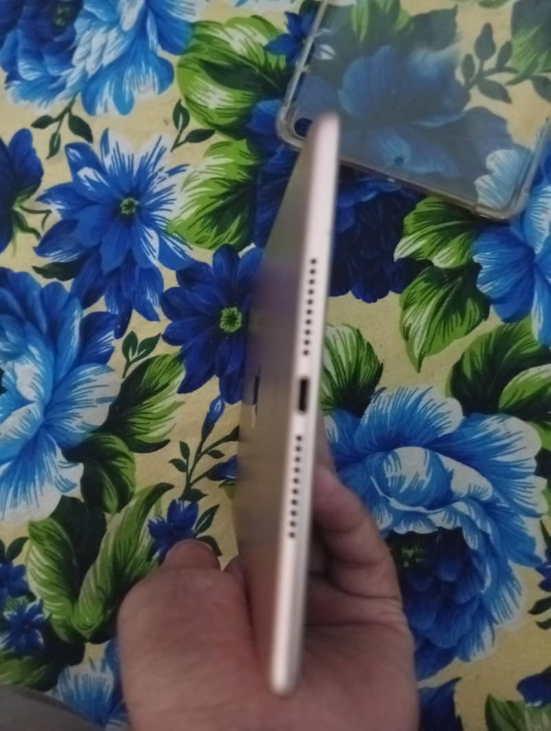 iPad mini 5 1