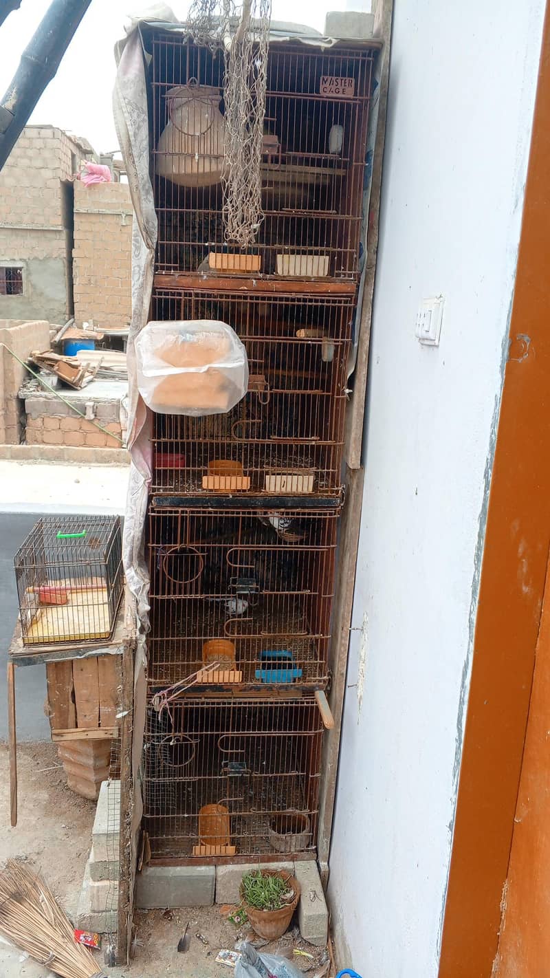 4 step 3