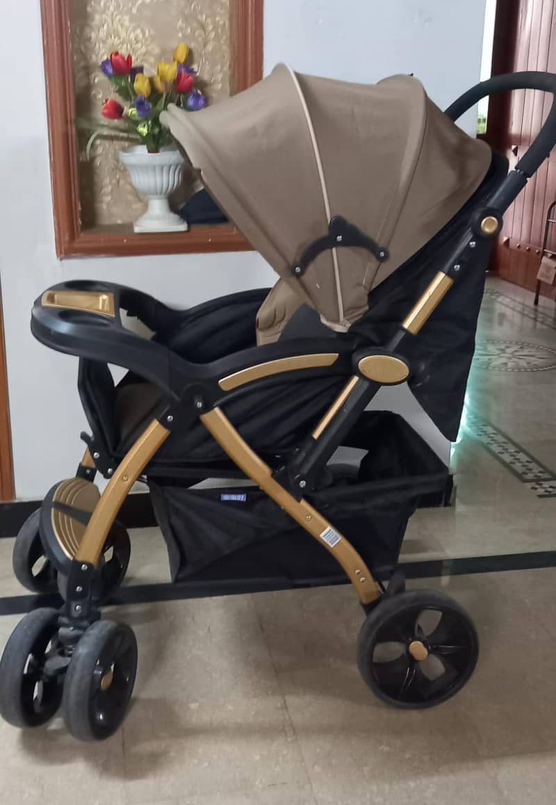 Pram or stroller 0
