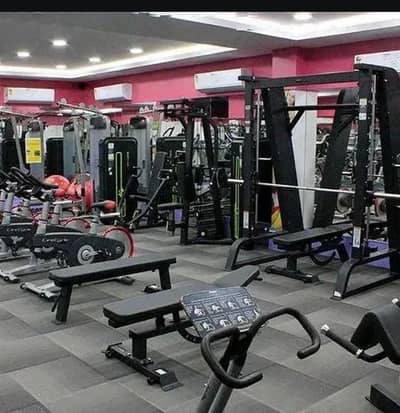 hack squat rack smith leg curler curl machine hamstring leg press gym