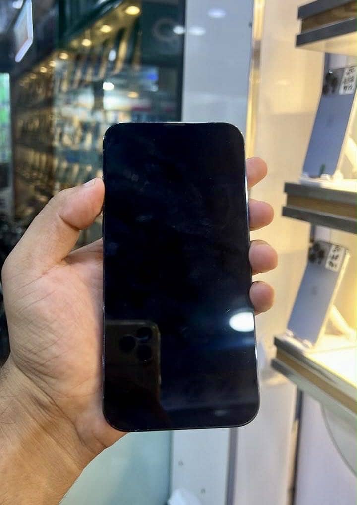 Apple iPhone 13 Pro Max 2