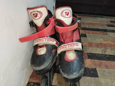 Long Feng Skates