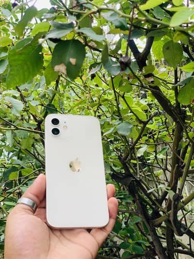 Apple iPhone 12