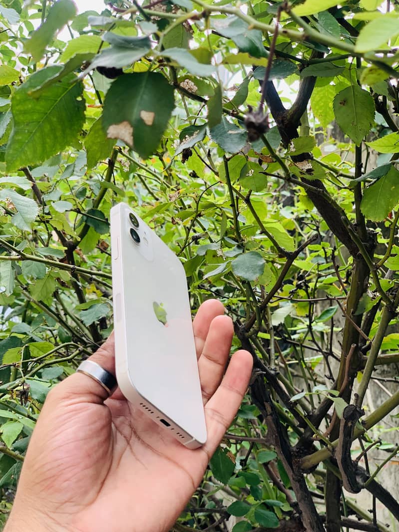 Apple iPhone 12 2