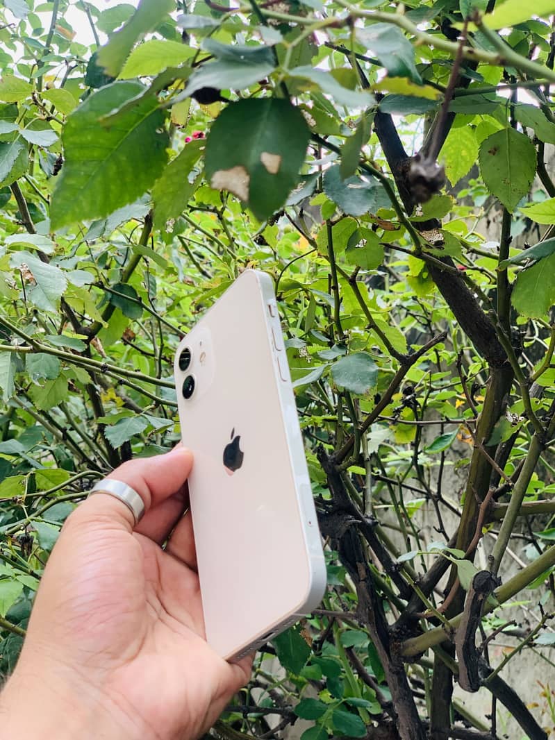 Apple iPhone 12 3