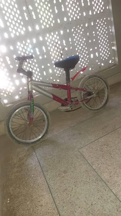 kids cycle