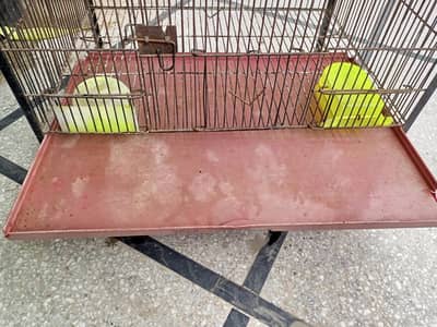 Bird's cage