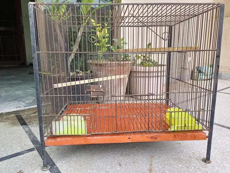 Bird's cage — photo 2
