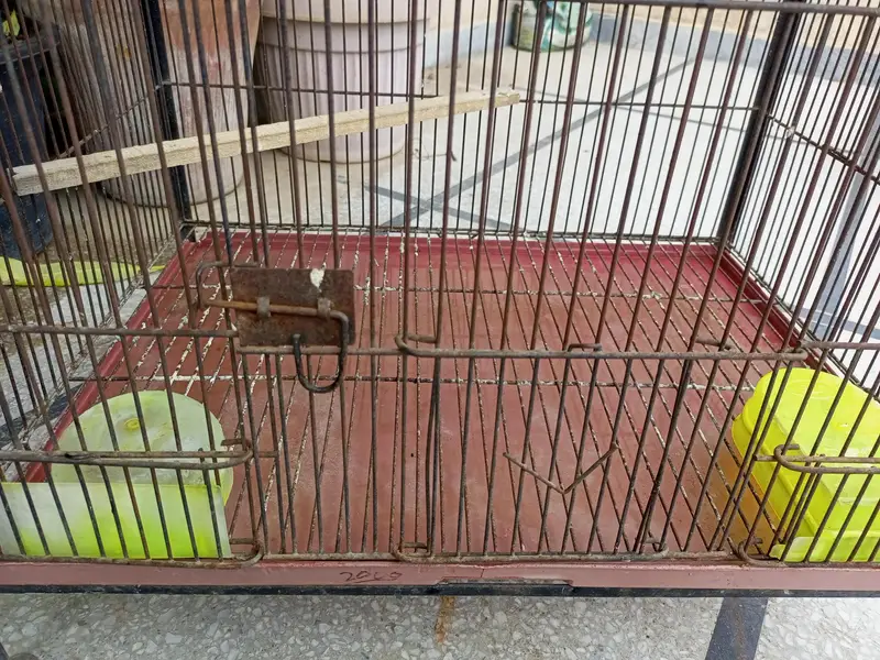 Bird's cage — photo 3
