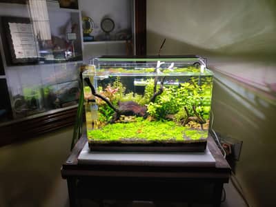 Aquariums only made for you 