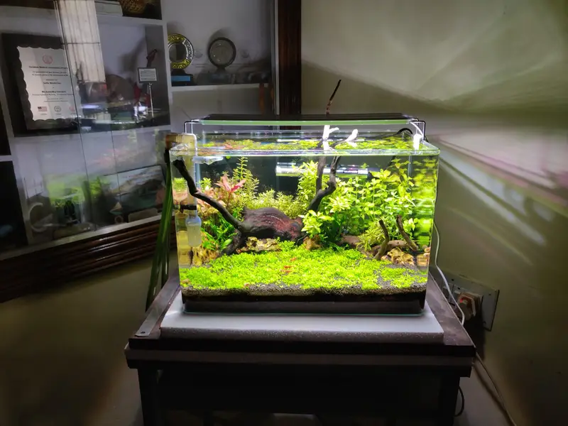 Aquariums only made for you 