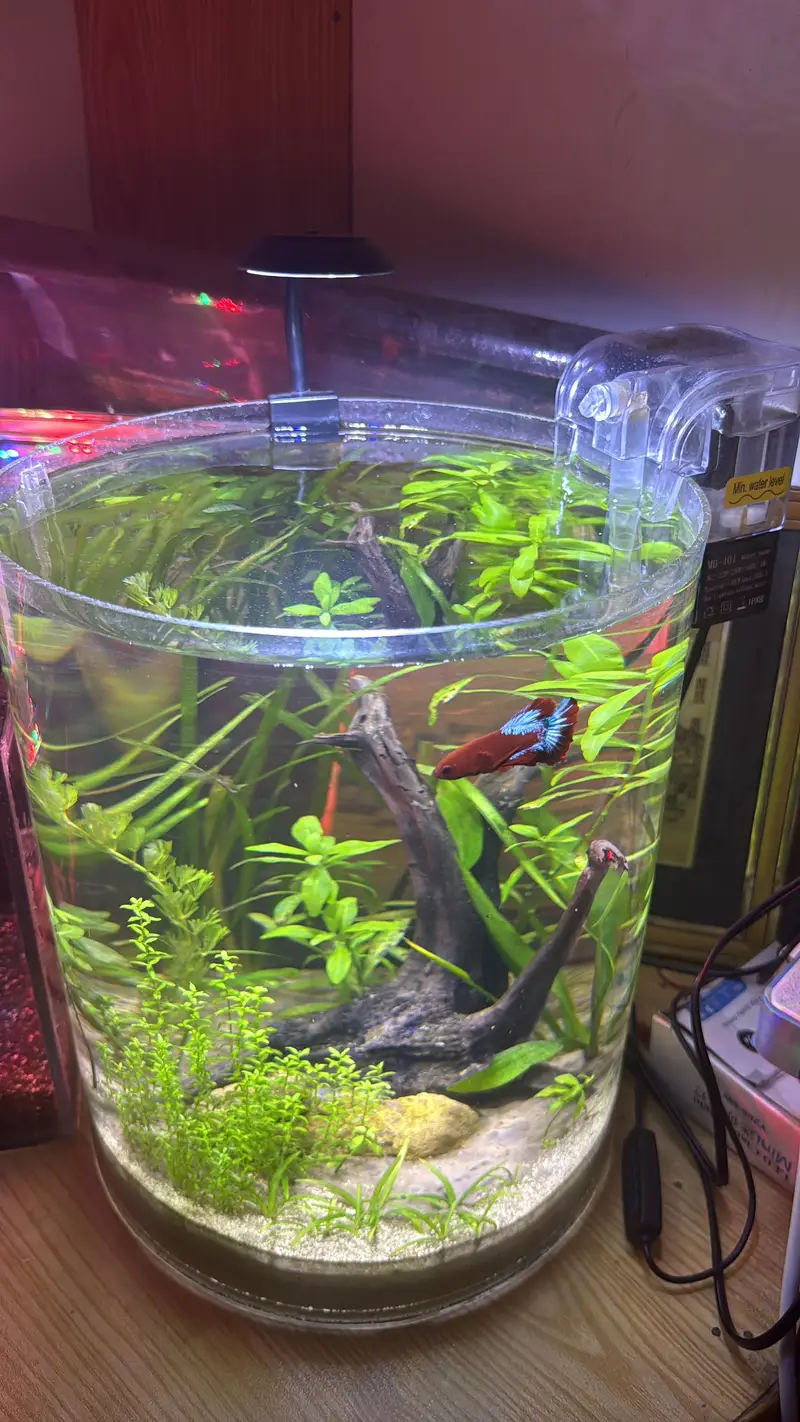 Aquariums only made for you  — photo 3