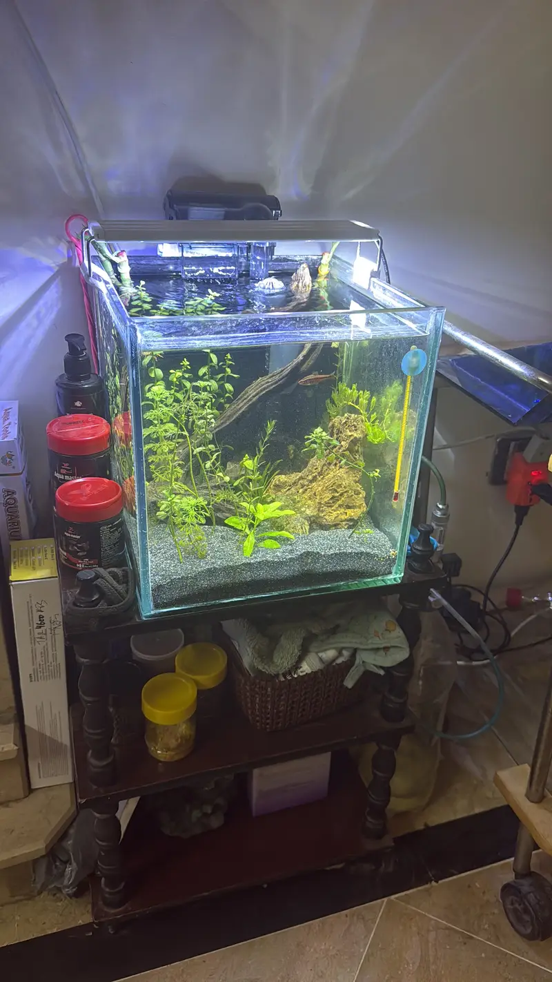 Aquariums only made for you  — photo 4