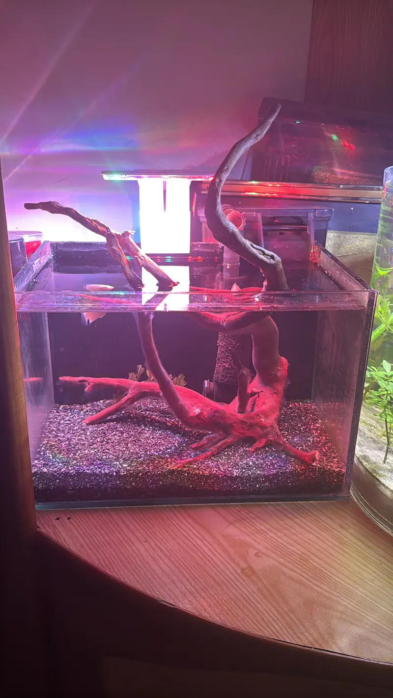 Aquariums only made for you  — photo 5