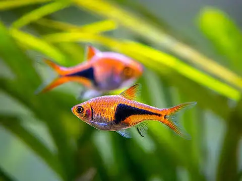 Aquariums only made for you  — photo 6