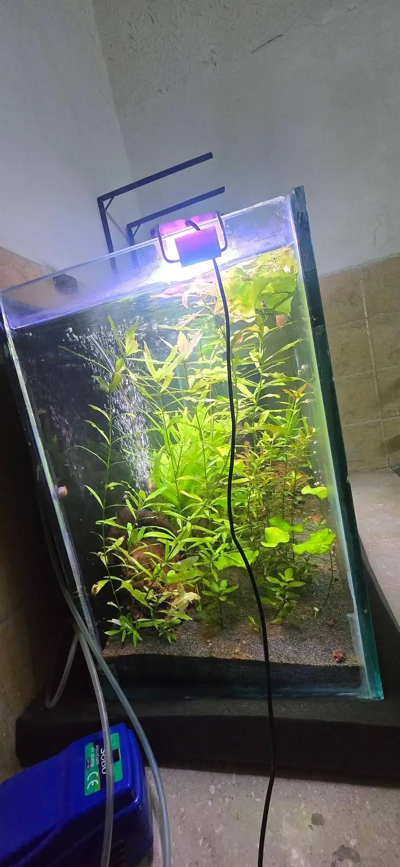 Aquariums only made for you  — photo 8
