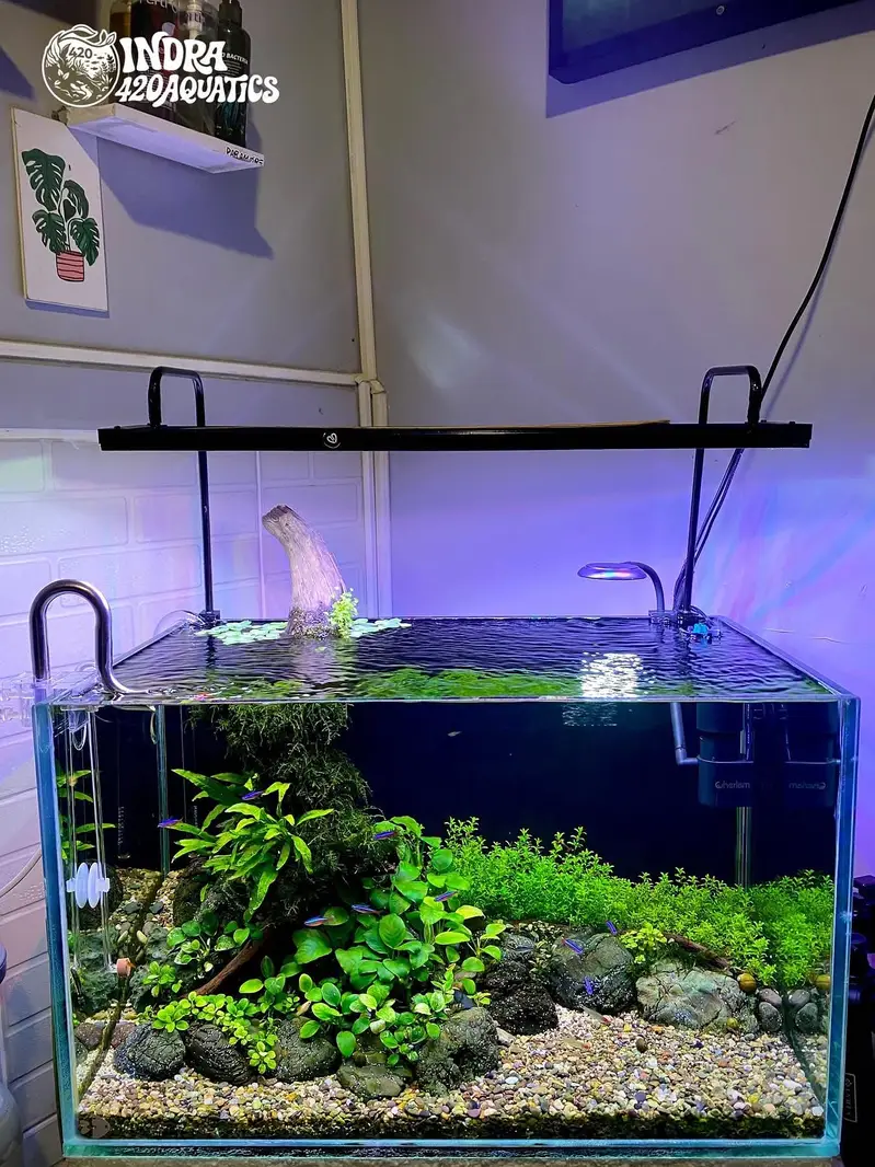 Aquariums only made for you  — photo 10