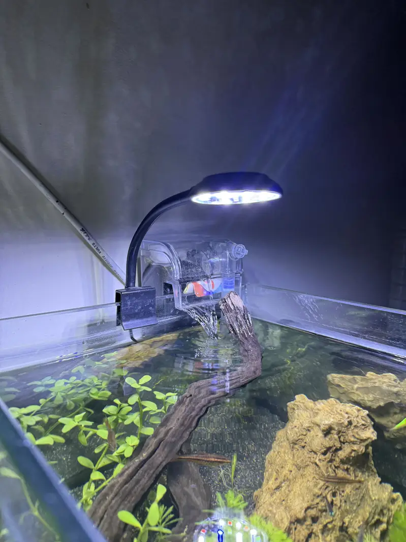 Aquariums only made for you  — photo 11