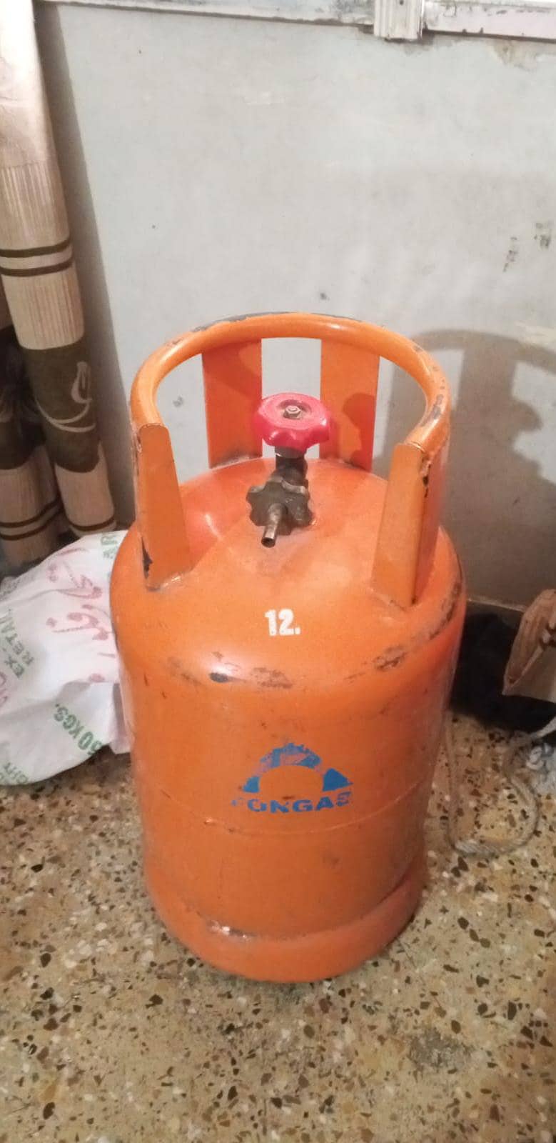 FONGAS 1