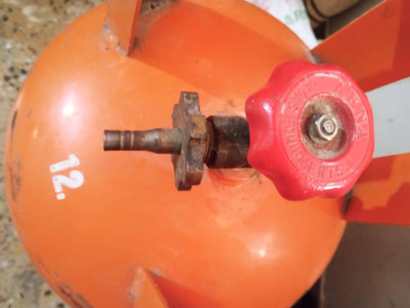 FONGAS 2