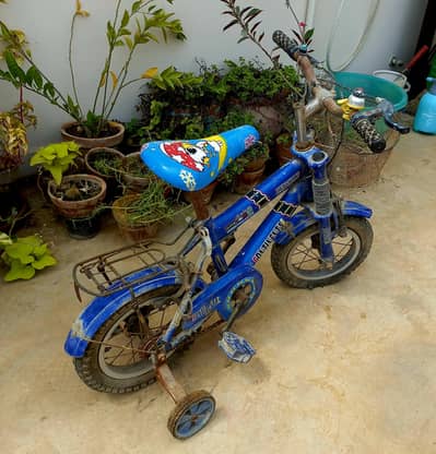 Bicycle