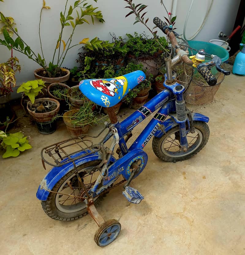 Bicycle 0