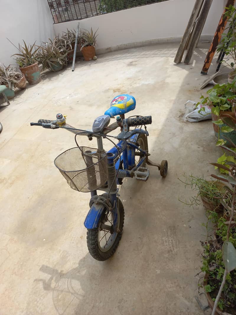 Bicycle 1