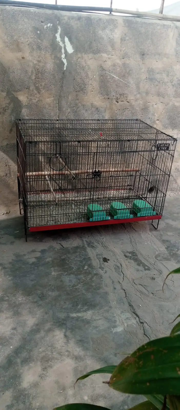 Cage for Birds