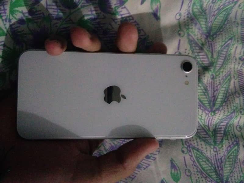 Apple iPhone SE 6
