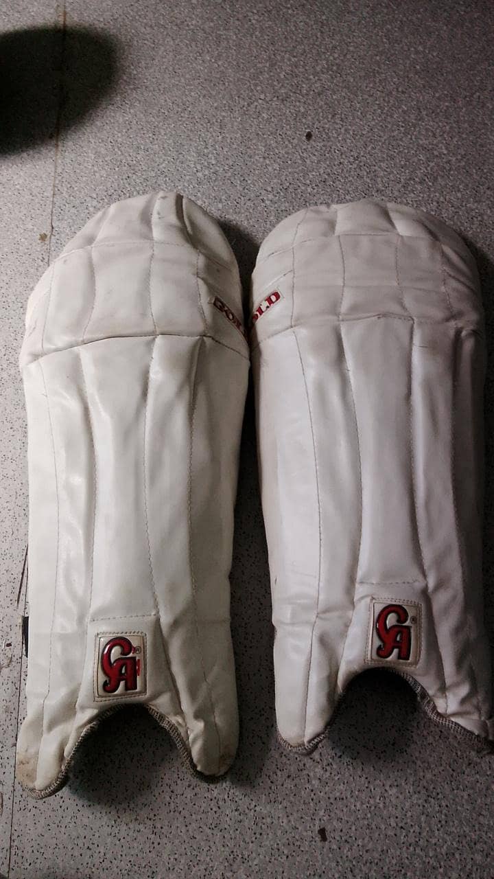 cricket kit 1
