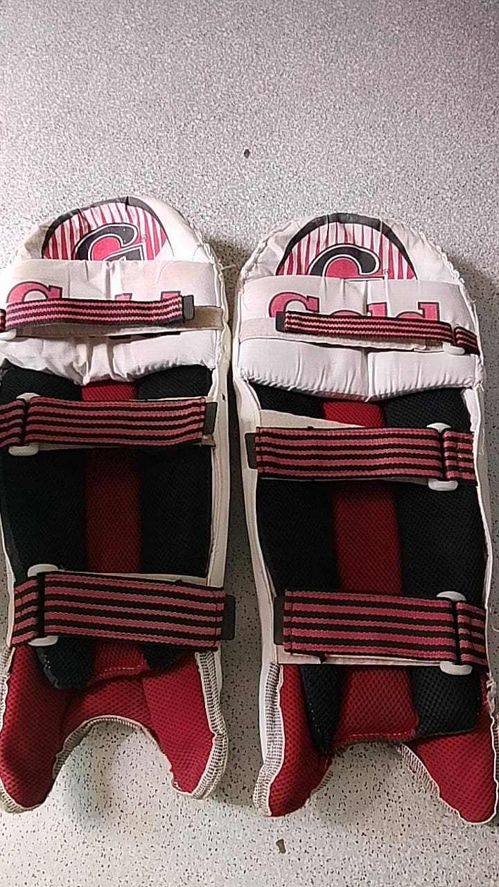 cricket kit 2