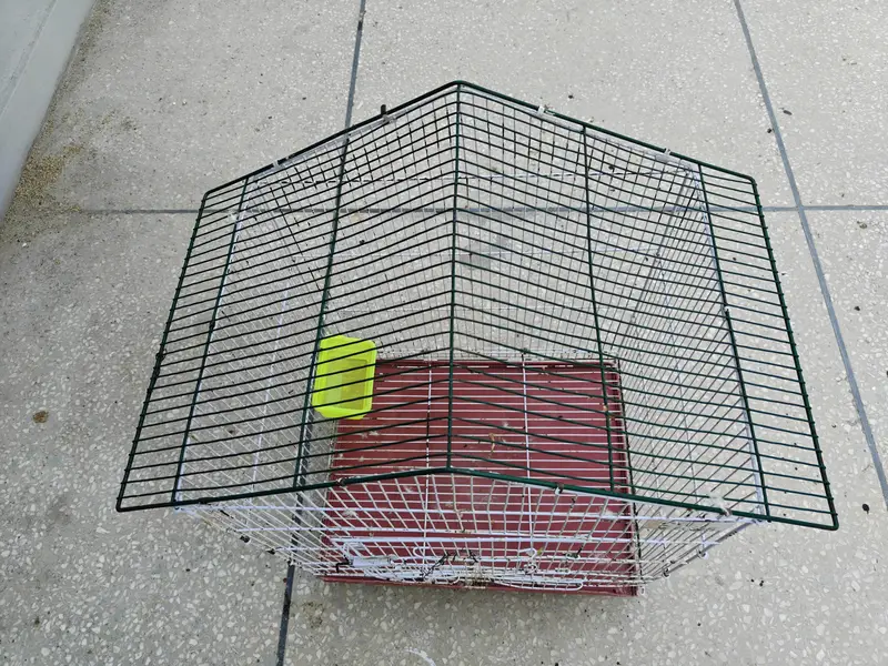 PARROT CAGE LARGE SIZE — photo 4