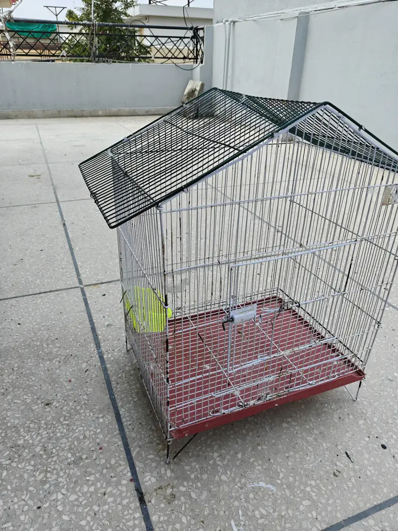 PARROT CAGE LARGE SIZE — photo 5
