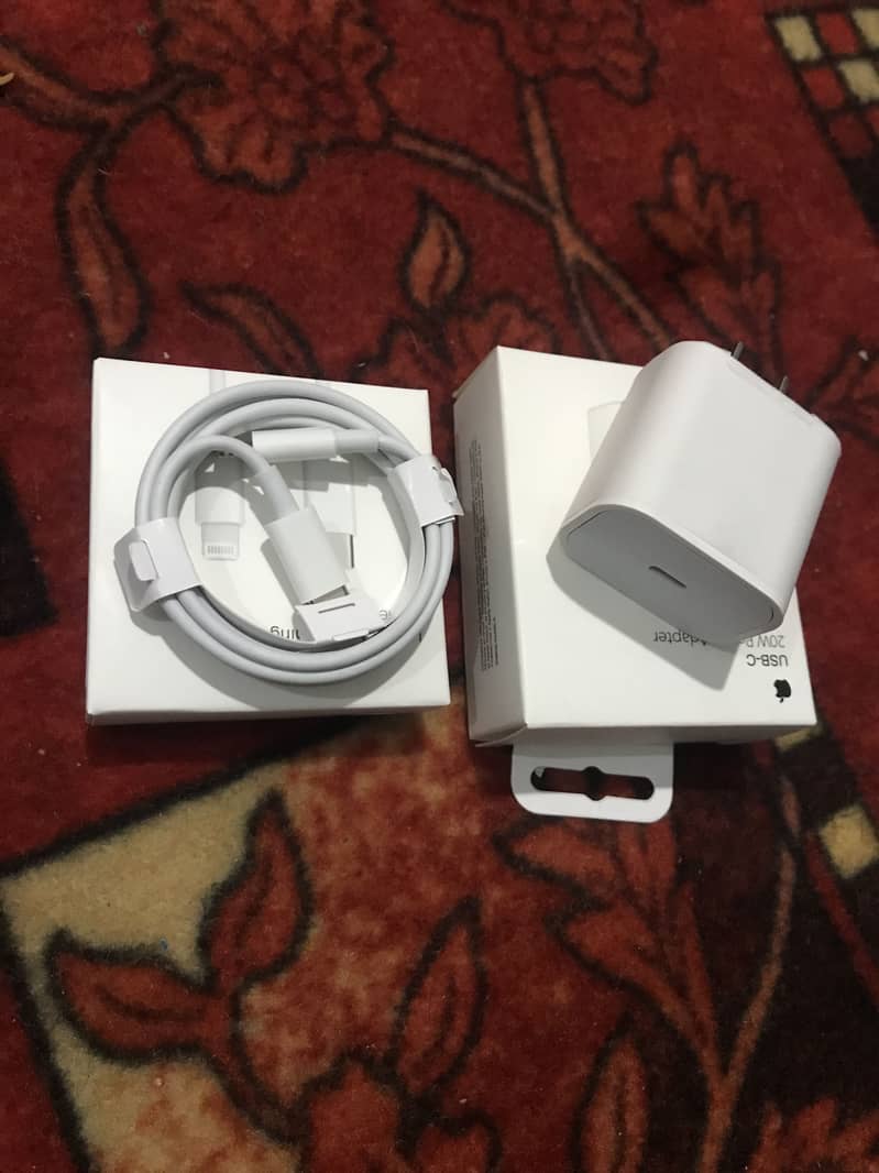 Charger 1
