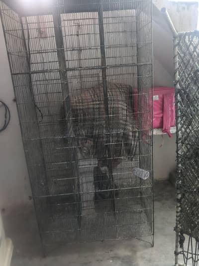 Bird Cage for Sale Good Quality Bird Cage