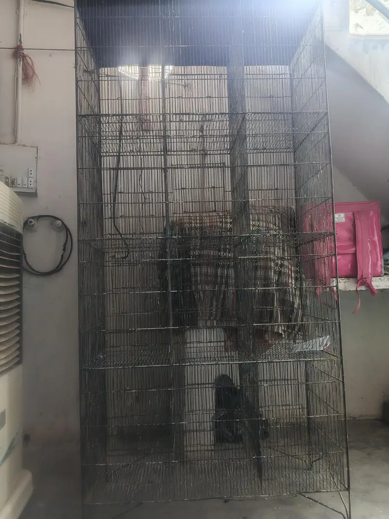 Bird Cage for Sale Good Quality Bird Cage — photo 2