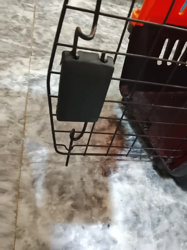 cage best quality — photo 9