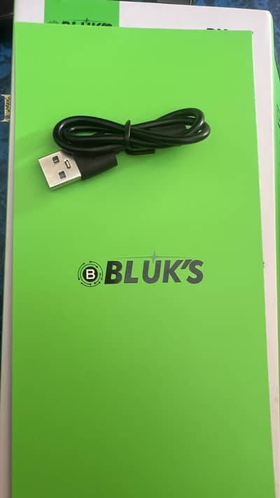 BX-17 bluks
