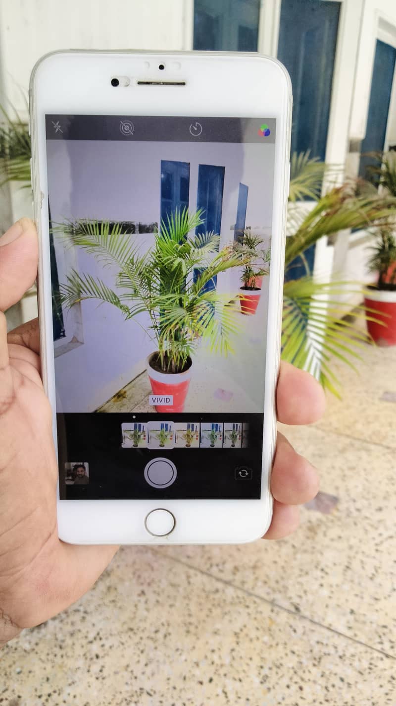 Apple iPhone 8 Plus 8